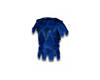 Skin of the Vipermagi D2R